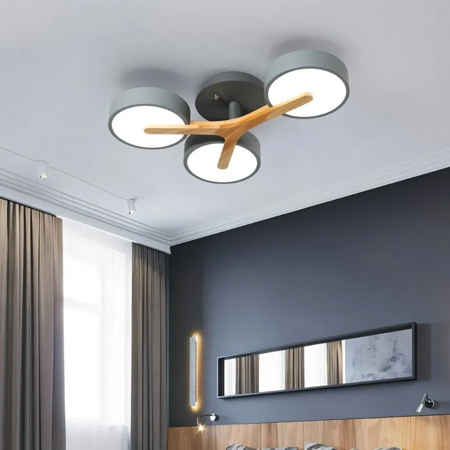 Ashane Ceiling Light