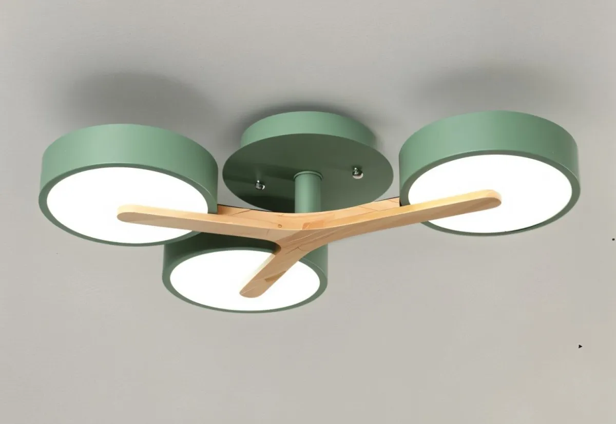 Ashane Ceiling Light