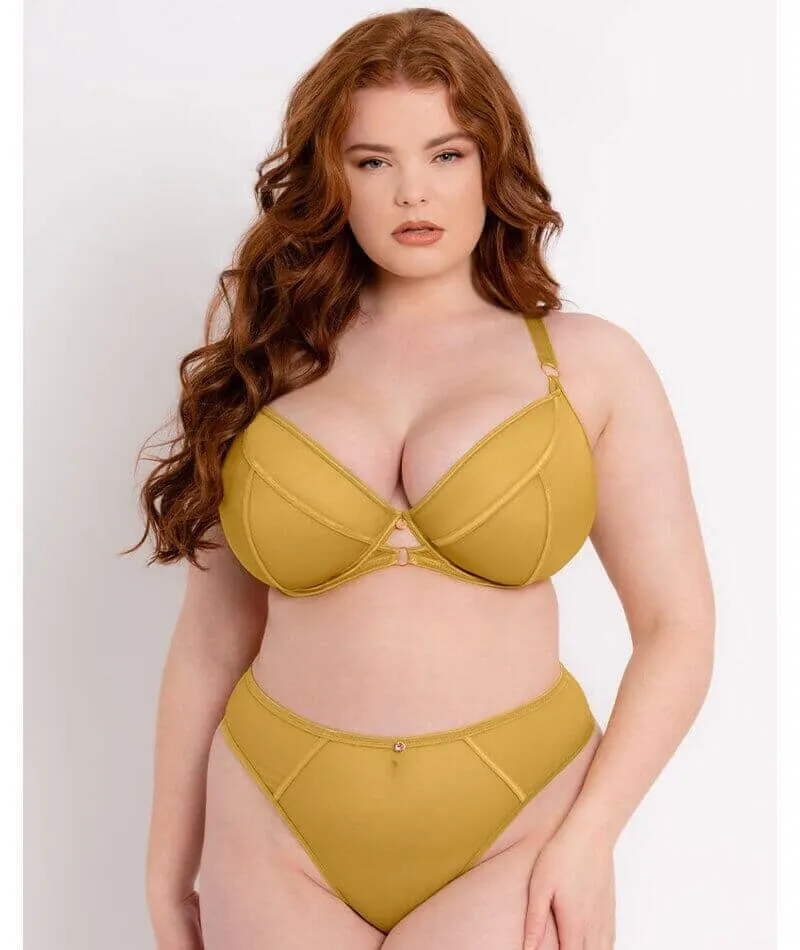 Scantilly Exposed High Waist Thong - Ochre Yellow