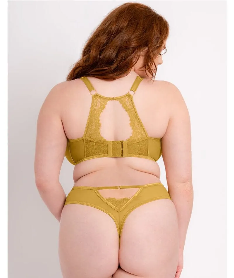 Scantilly Exposed High Waist Thong - Ochre Yellow